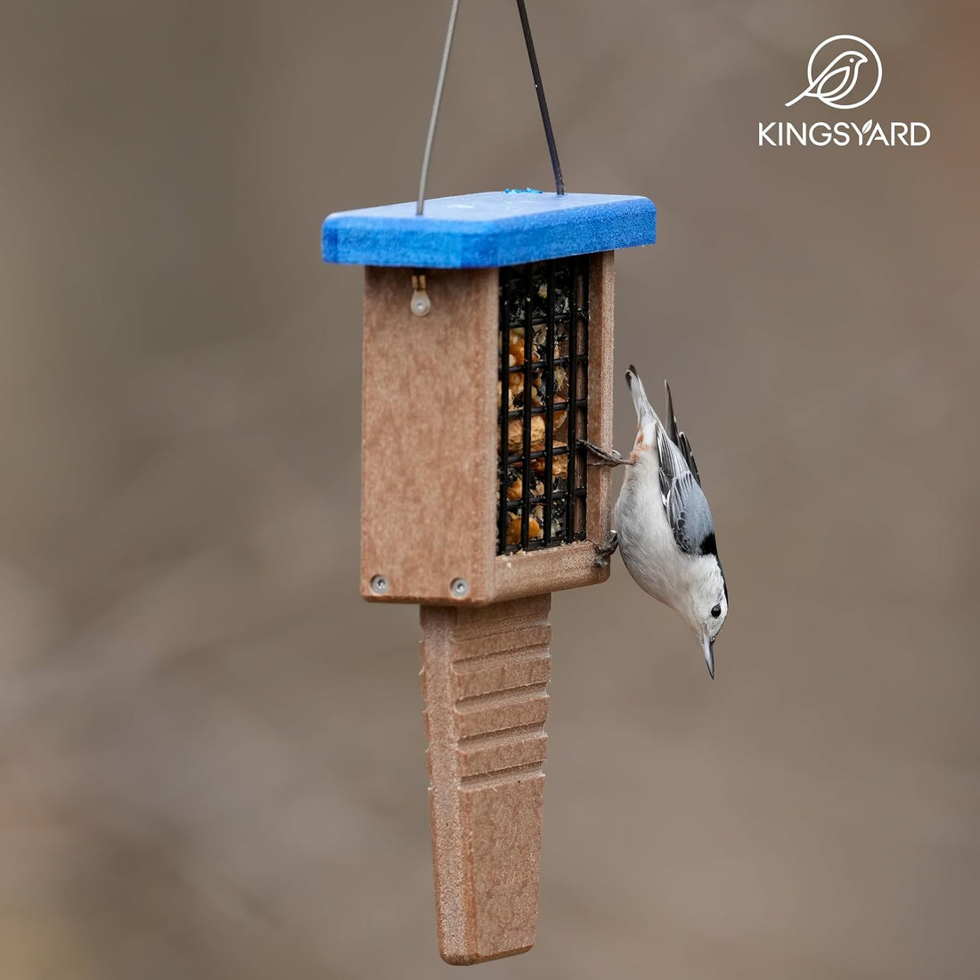 Kingsyard Suet Bird Feeder with Tail-Prop