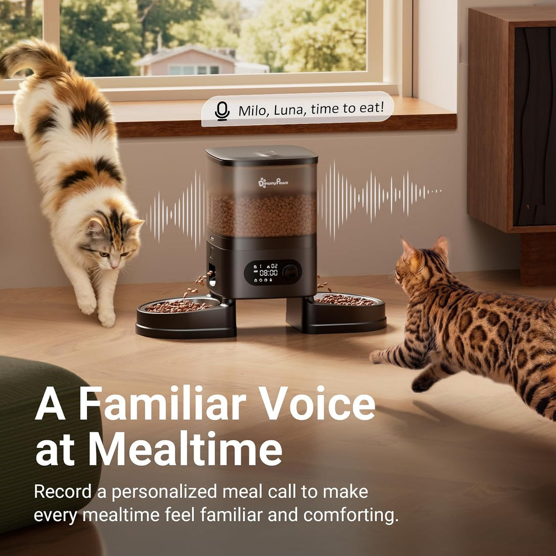DownyPaws Automatic Cat Feeder 2 Cats