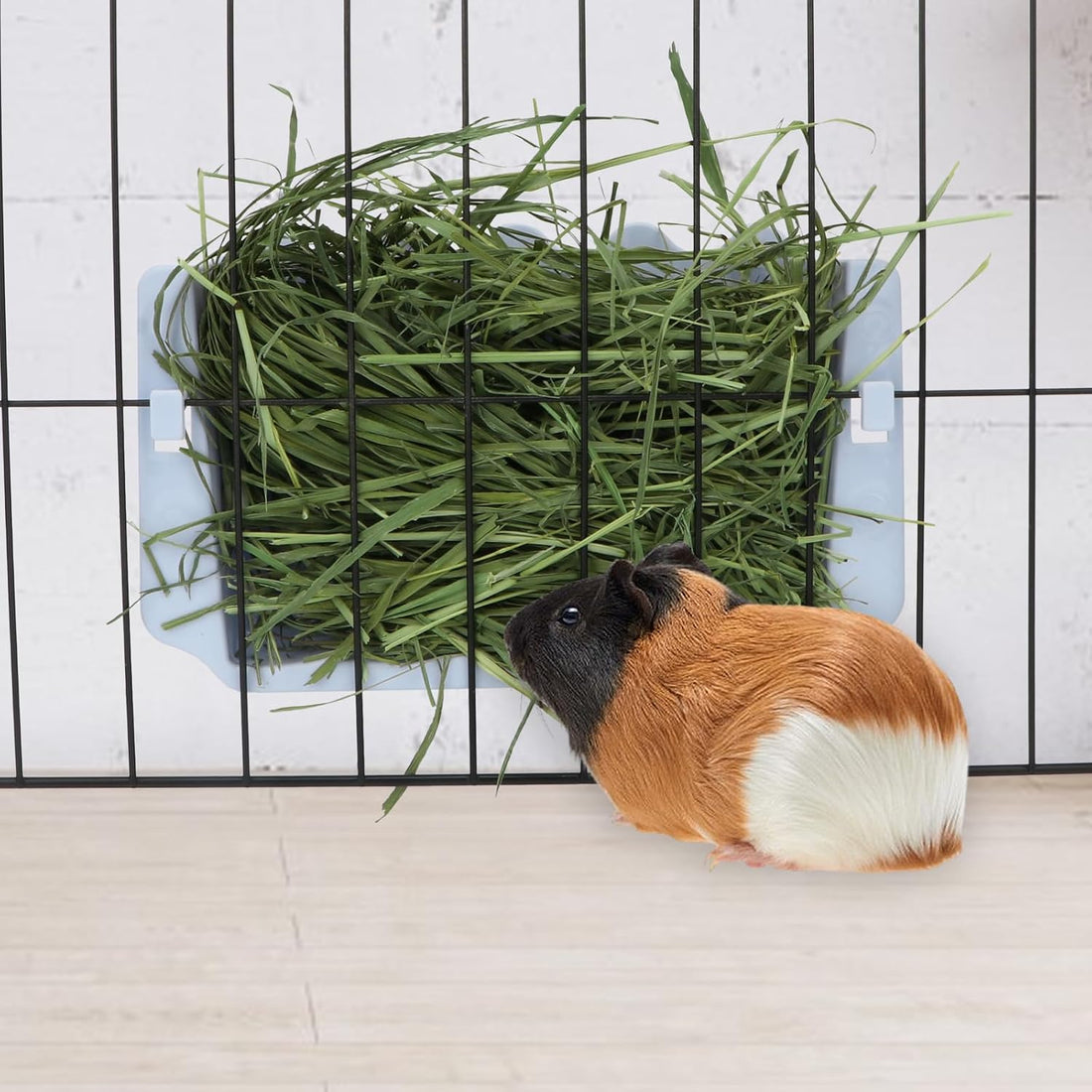 Hypeety Rabbit Hay Feeder Automatic Hay Rack for Guinea Pigs
