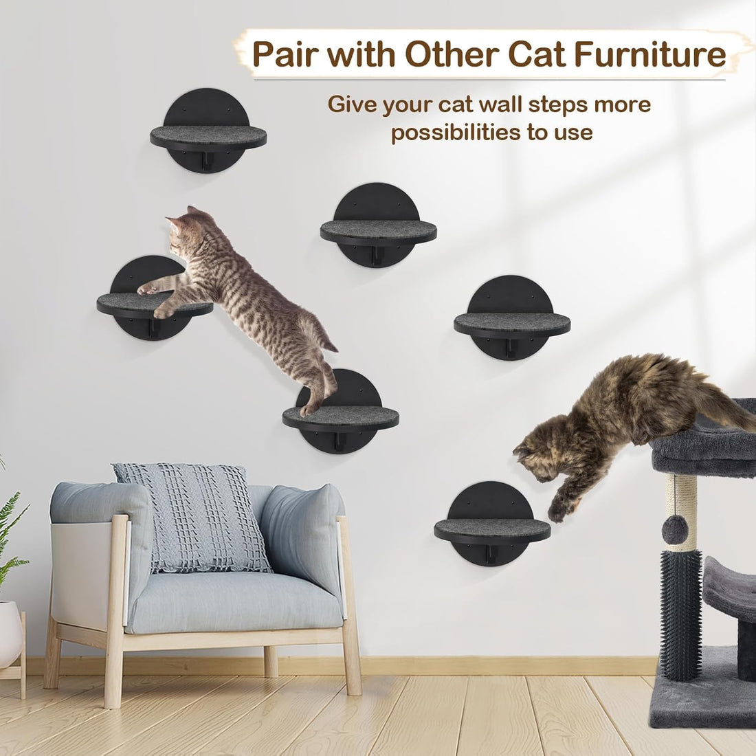 Cat Wall Shelves Furniture Set of 6