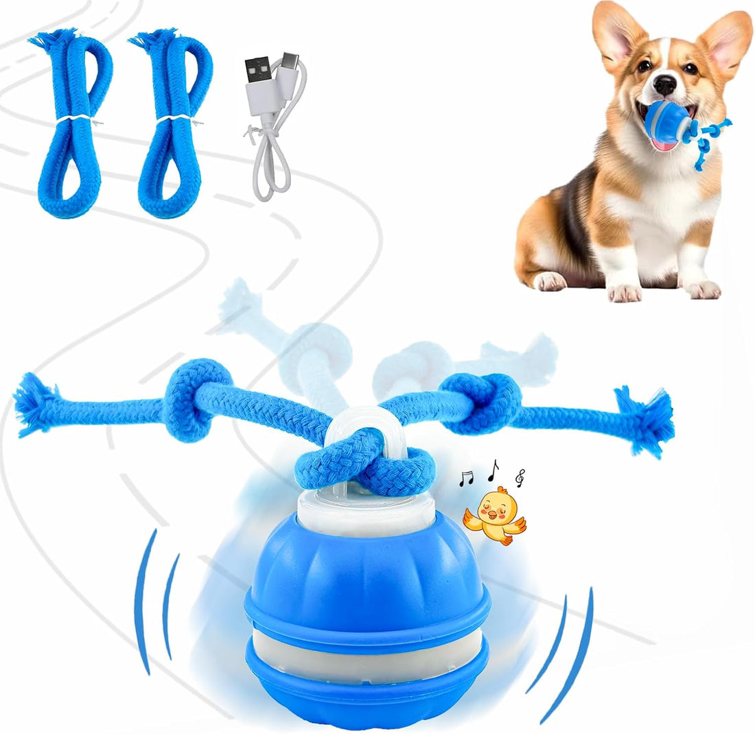 P06 Smart Interactive Dog Toys Dog Balls with Rope for Small Medium