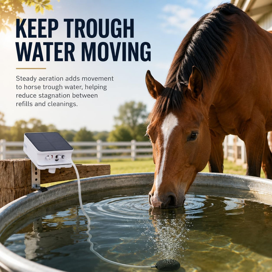 Solar Horse Water Trough Aerator