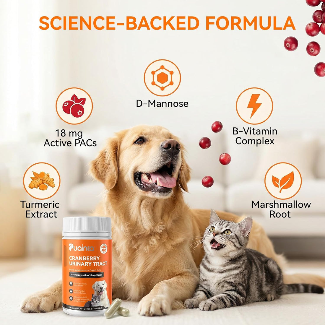 PUAINTA Cat Hairball Remedy & Cranberry Urinary Tract Support