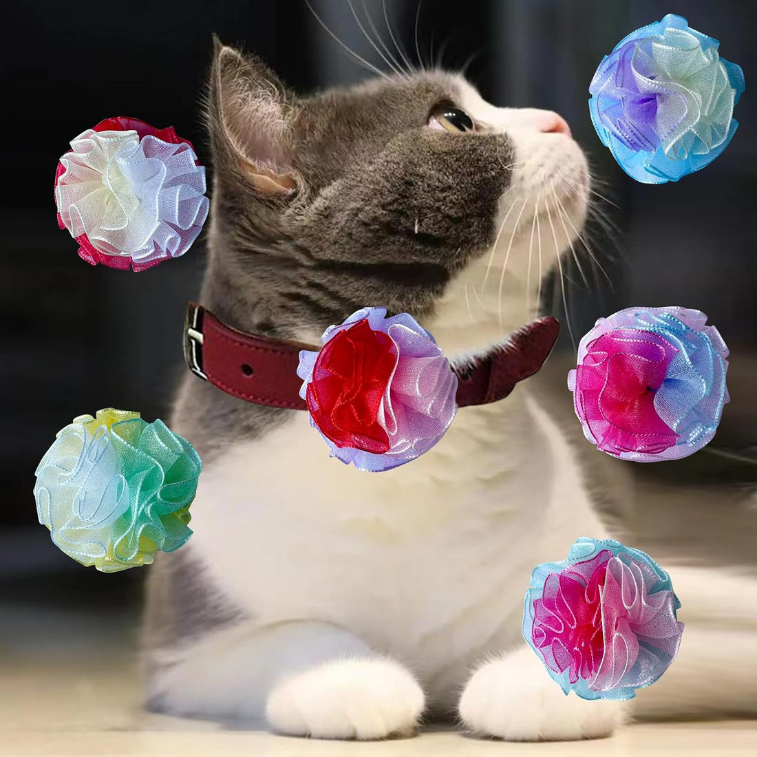 6 Pcs Dog Collar Accessories Slide-On Colorful Flower Charms