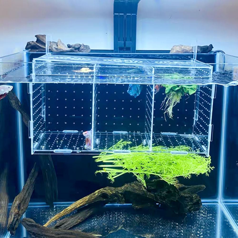 Fish Breeding Box, Acrylic Isolation Box Separator for Aquarium