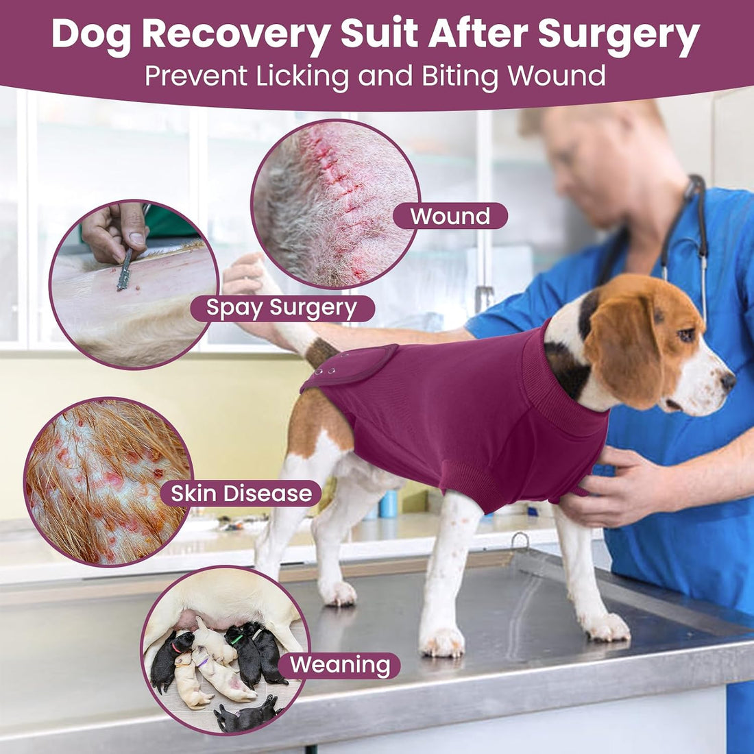 IDOMIK Dog Recovery Suit for Neuter Spay,Anti-Licking Dog Surgical