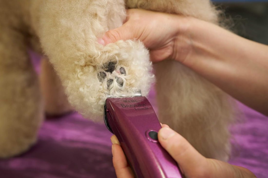 Wahl Professional Animal Bravura Pet, Dog, Cat