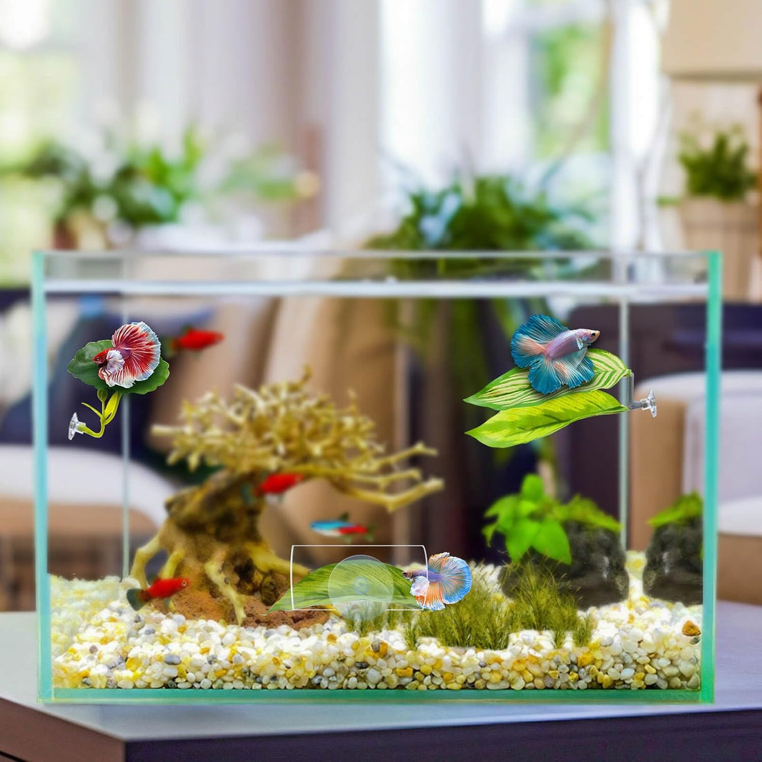 5 Pcs Betta Hammock Leaf & Tunnel, Betta Fish Tank Accessories