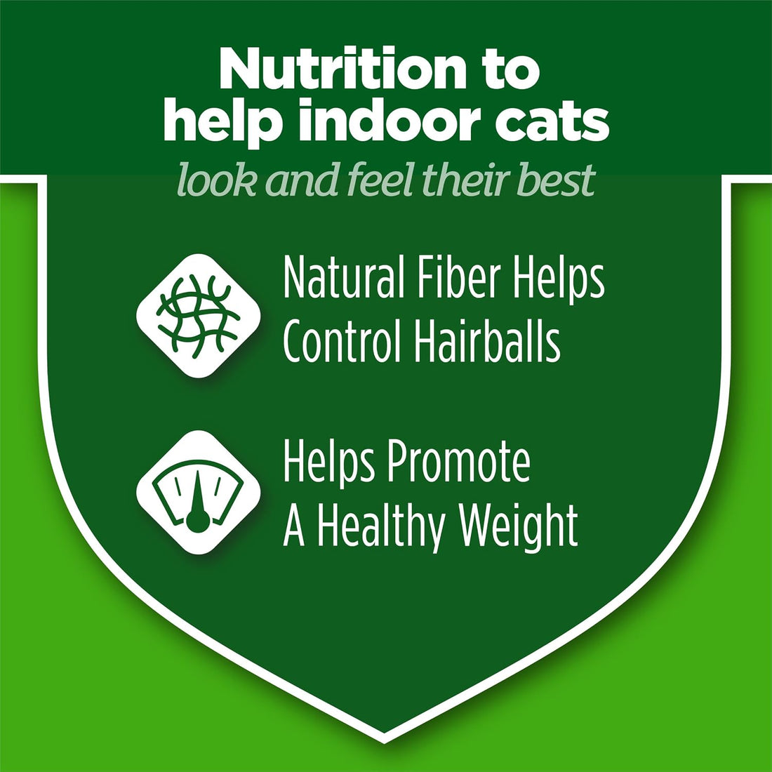 Purina Cat Chow Indoor Healthy Weight and Hairball Dry Cat Food