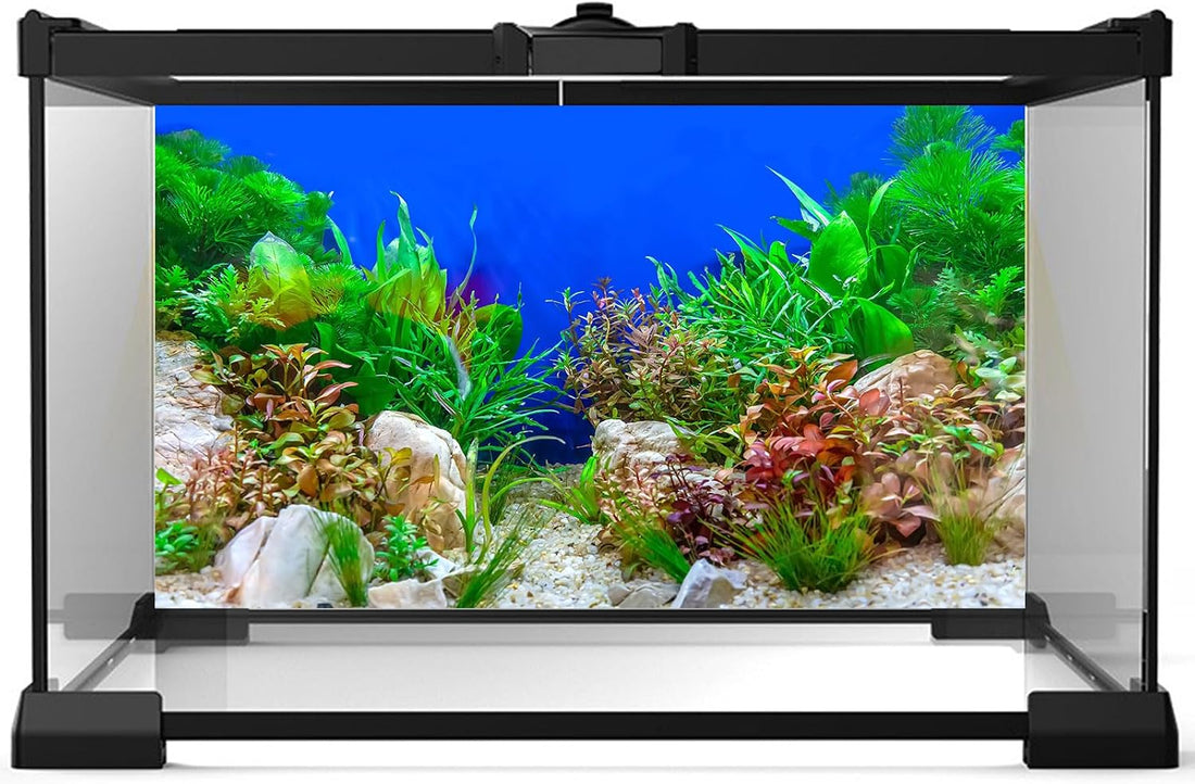 Aquarium Background Green Aquatic Plant Stone River Bed and Lake Fish