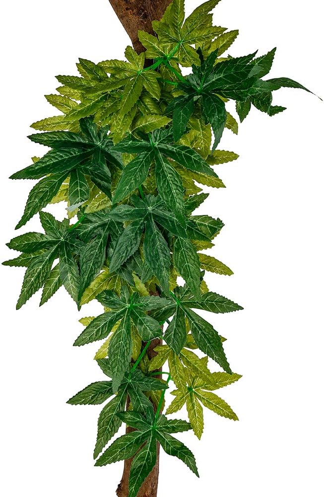 Reptile Plants Hanging Terrarium Plant Amphibian Habitat Decor