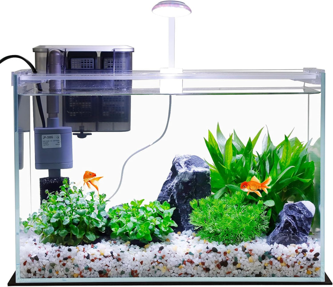 Vimvins 3 Gallon Glass Small Fish Tank