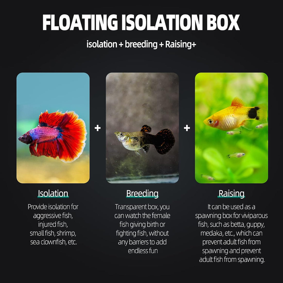 Aquarium Hatchery Incubator Breeding Box, Fish Tank Acrylic Isolation