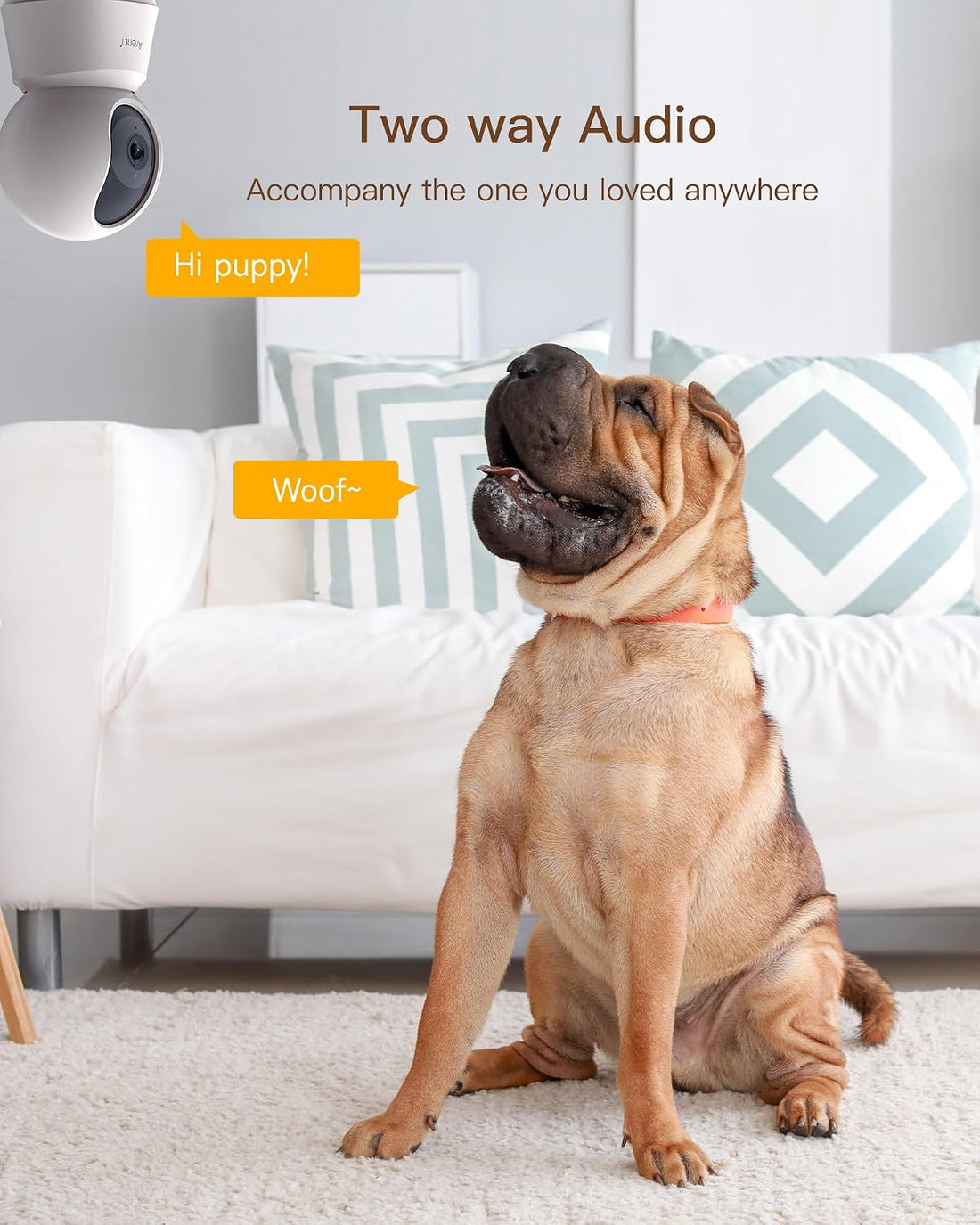 ARENTI 5G Indoor Security Camera