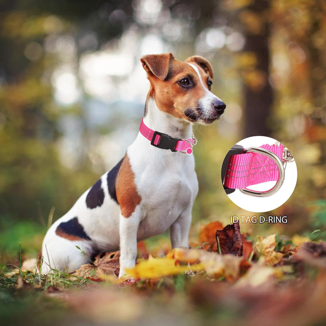 Yunleparks Martingale Dog Collar with Quick Release Buckle Steel