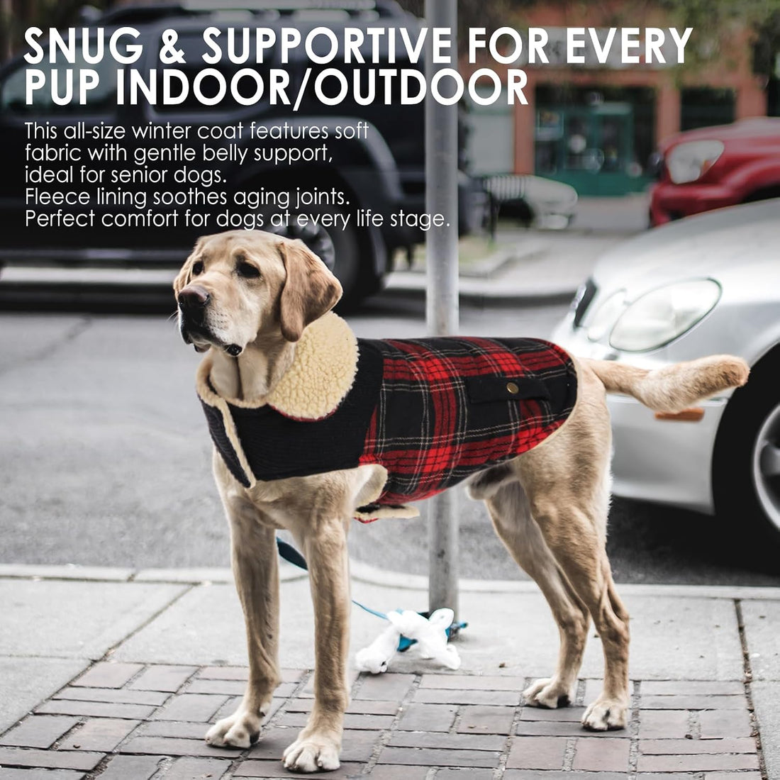 Extra-Small Dog Winter Coat, Puppy Plaid Warm Puffer Jacket