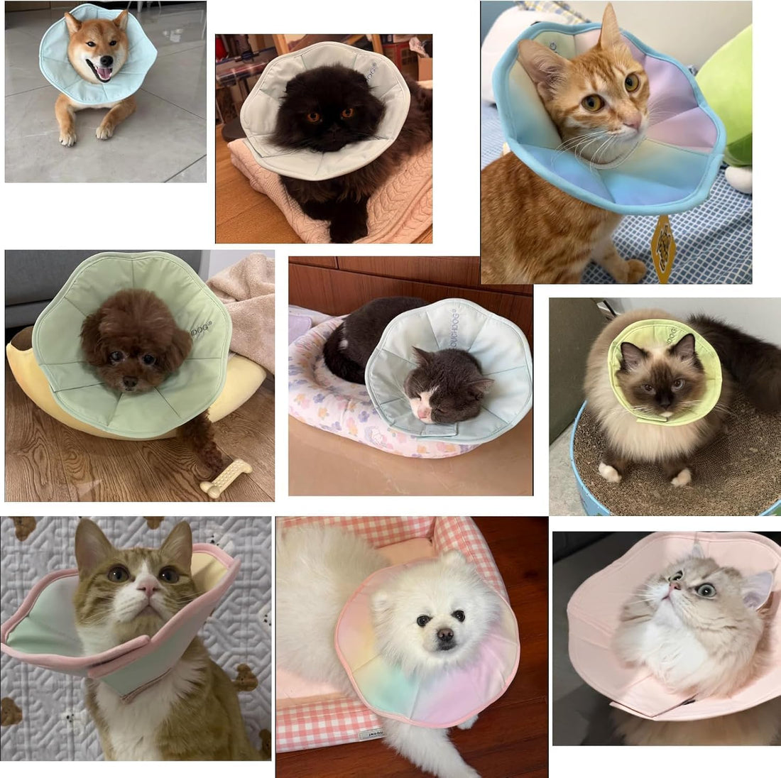 Touchdog Soft Cat Cone Collar, Waterproof Recovery E-Collar