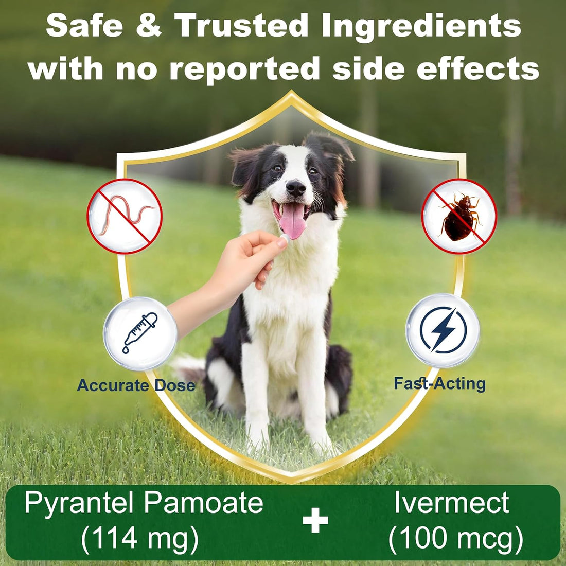 Dewormer for Dogs, for Tapeworms, Roundworms, Hookworms & Whipworms