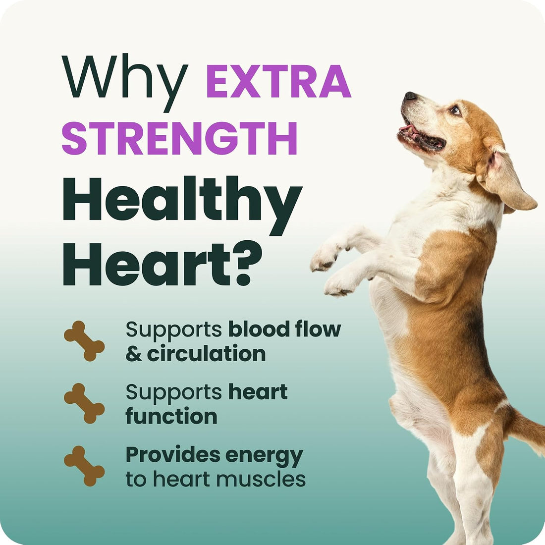 VetriScience Extra Strength Healthy Heart Chews for Dogs, Chicken
