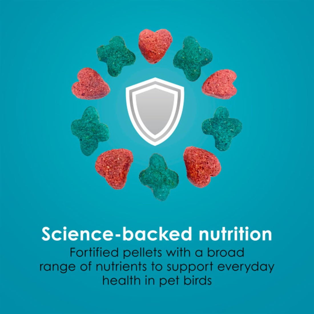 Kaytee Forti-Diet Pro Health Nourish+Protect Parrot Food