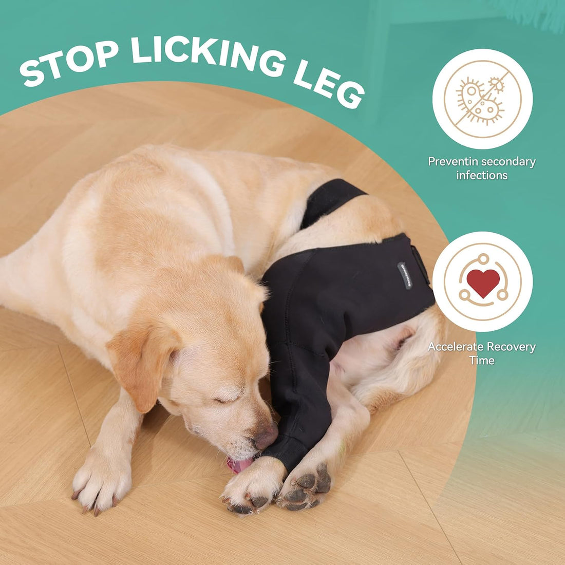 Single Dog Rear Leg Sleeve to Stop Licking