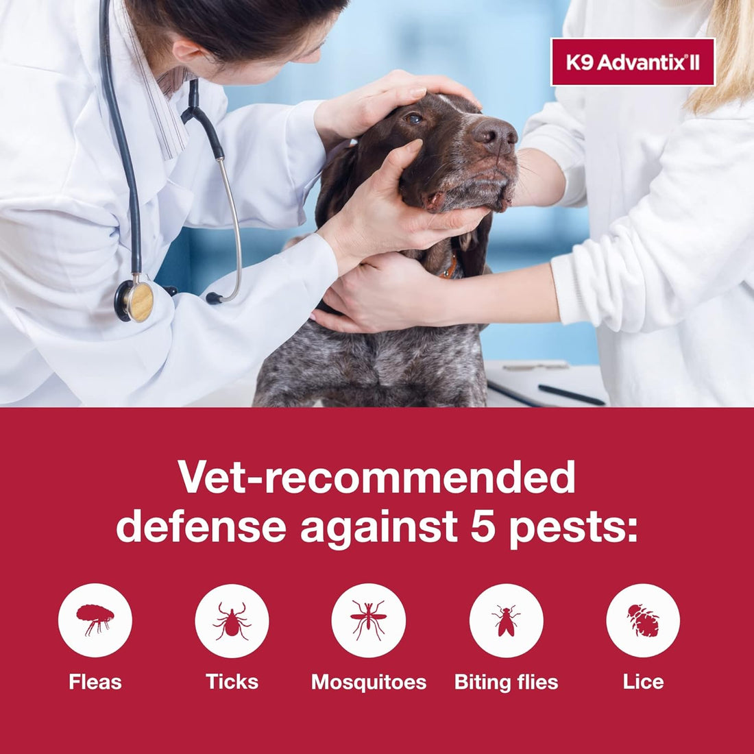 K9 Advantix II XL Dog Vet-Recommended Flea