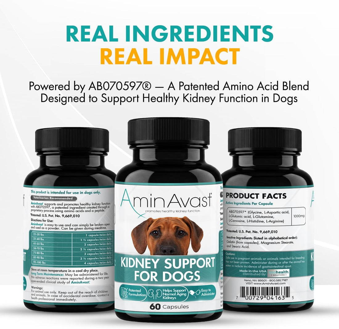 AminAvast 1000 mg Kidney Support for Dogs, 3 Bottles