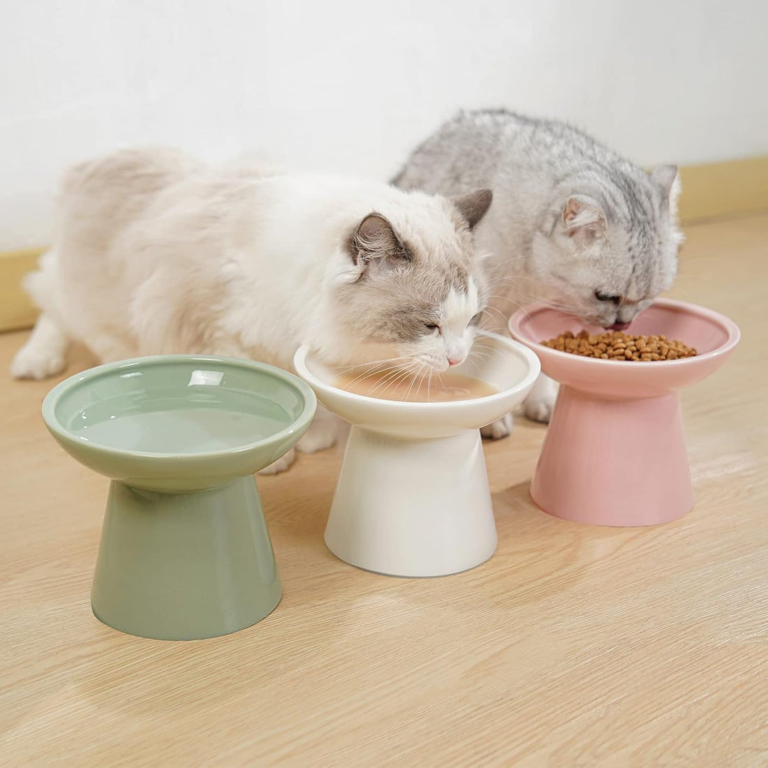 CEEFU Extra Wide Elevated Ceramic 6.2" Shallow Cat Food Bowl
