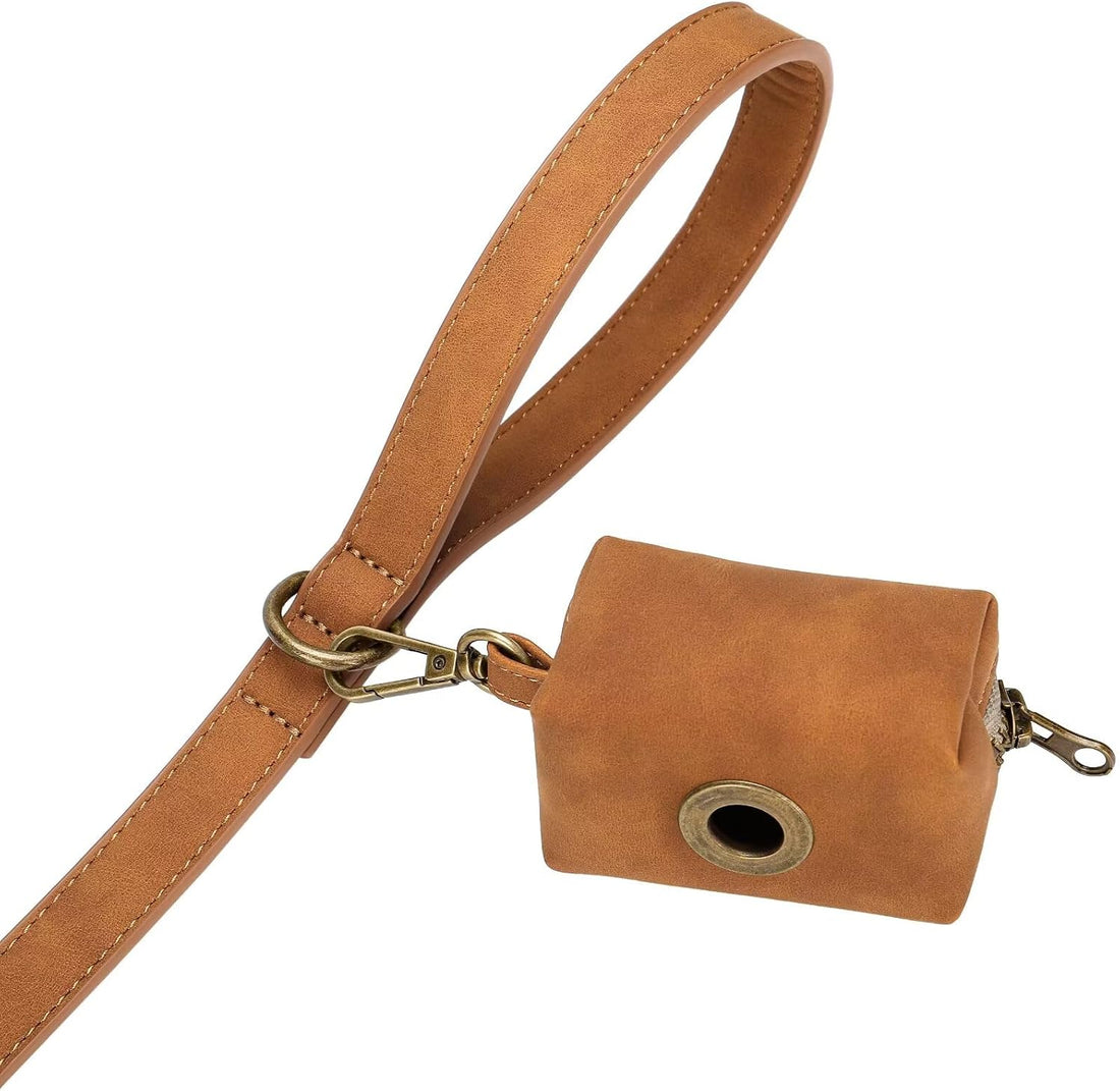 Didog Stylish PU Leather Dog Leash for Medium Dogs
