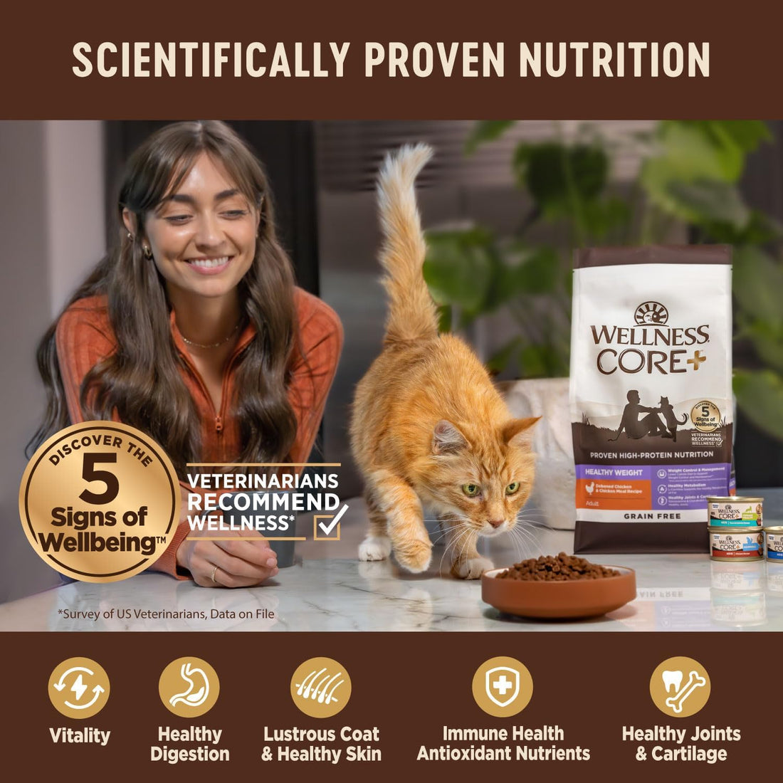 Wellness CORE+ Adult Dry Cat Food for Indoor Cats, Natural