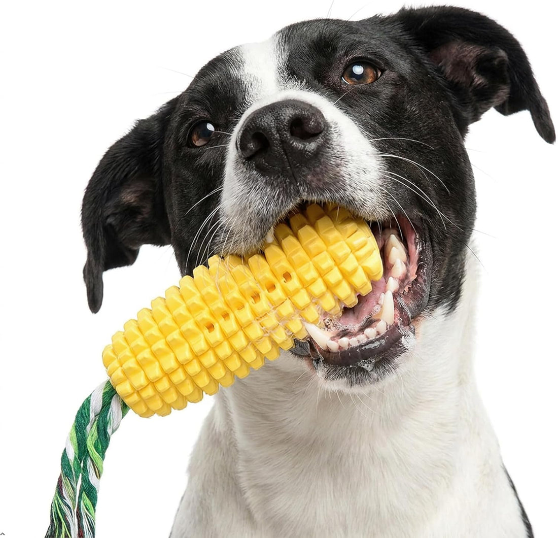 Carllg Dog Chew Toys for Aggressive Chewers