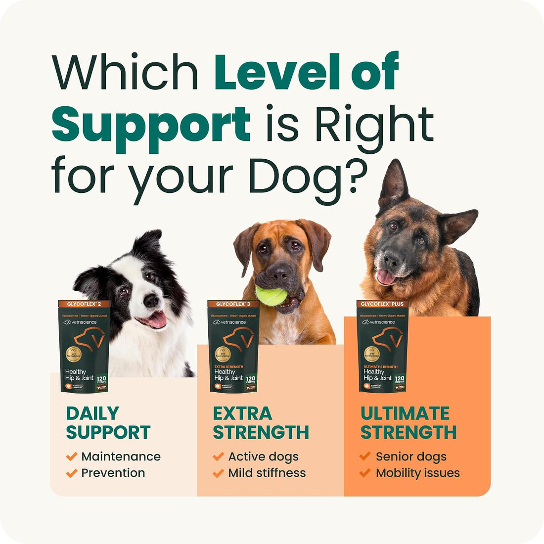 VetriScience Extra Strength Hip & Joint Supplement for Dogs