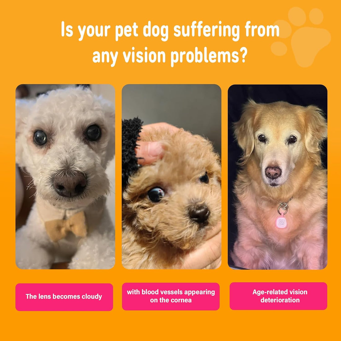 Nutridog Eye Supplements for Dogs