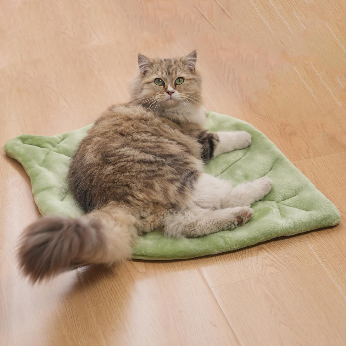 Nimorio Self Warming Cat Leaf Mat,Comfortable Soft Fabric Breathable