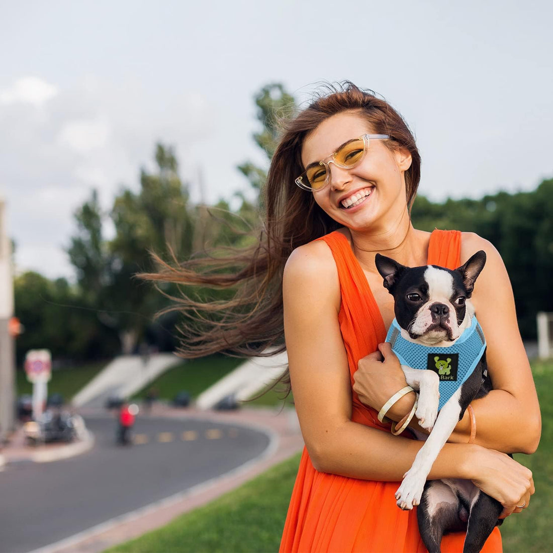 EcoBark Step-in Dog Harness