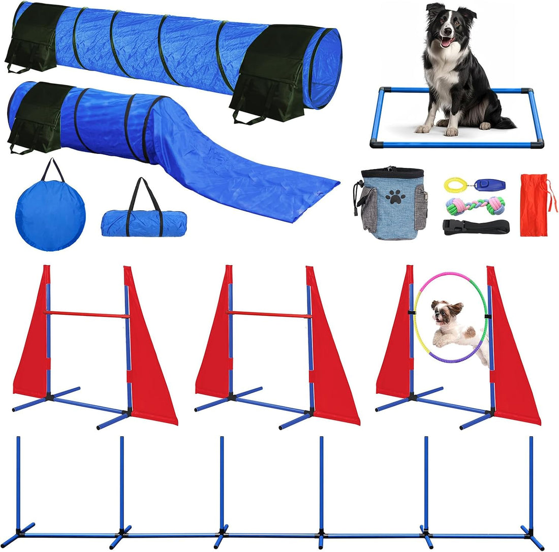 Dog Agility Training Equipment