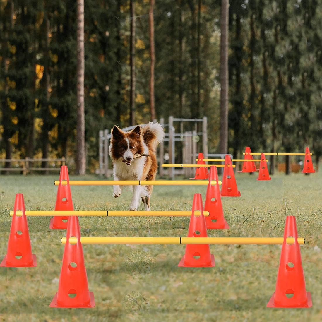 TNZMART Dog Agility Hurdle Cones Pet Jump Training Set Dog Agility