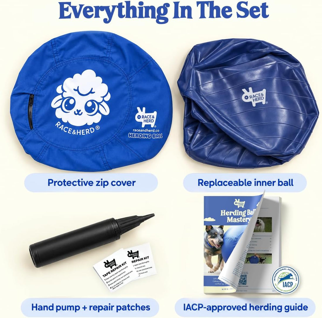 Race&Herd 25" Original Herding Ball — Cover, Inner Ball & Pump (Ocean)