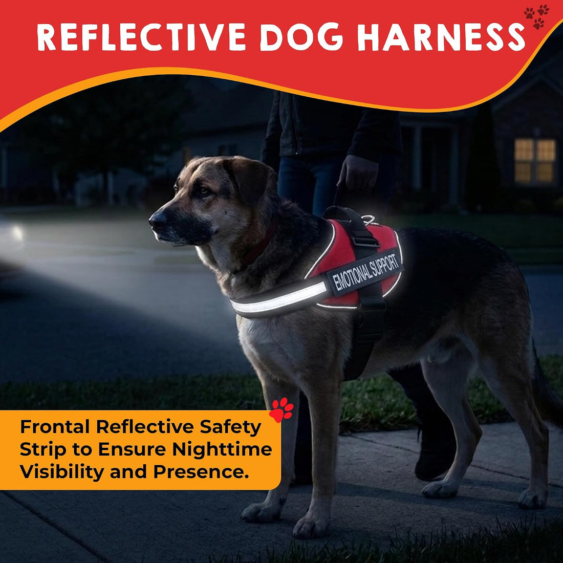 ESA Dog Vest Bundle with ID Tag and Informational Cards