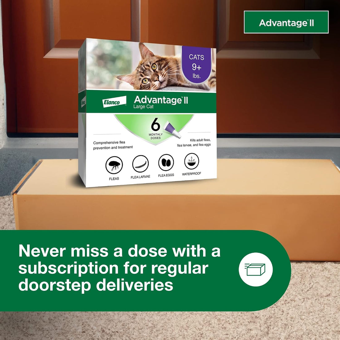 Advantage II Large Cat Vet-Recommended Flea Treatment & Prevention