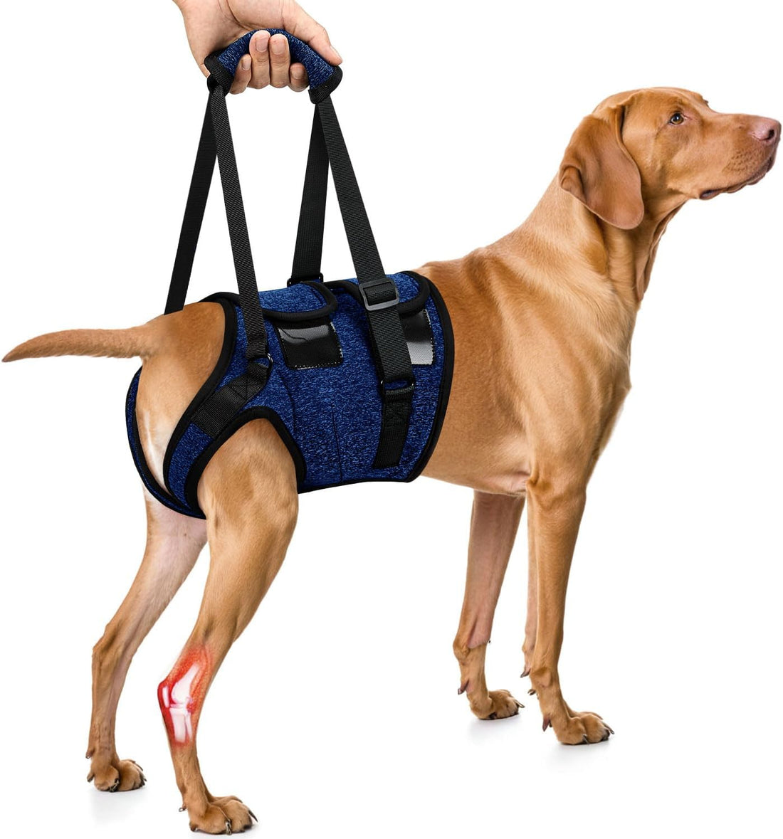 SlowTon Dog Lift Harness, Adjustable Dog Sling for Medium Large Dogs