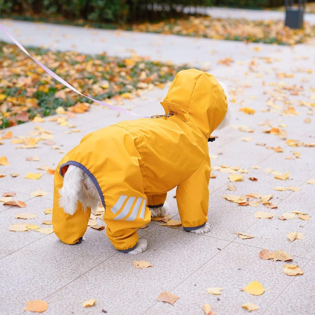 Dog Raincoat, Waterproof Dog Rain Jacket with Hood