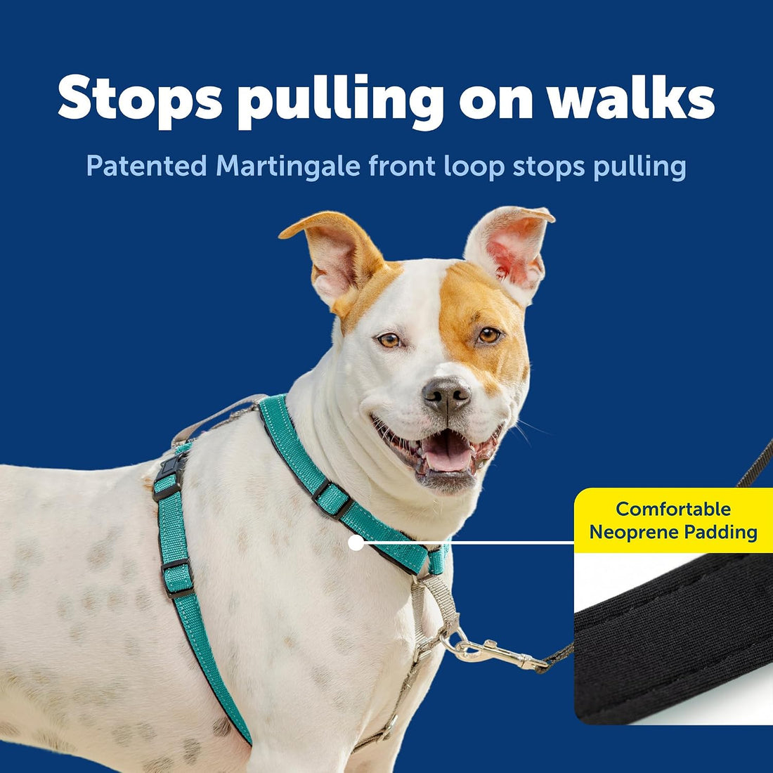PetSafe 3 in 1 No-Pull Dog Harness - Walk, Train or Travel