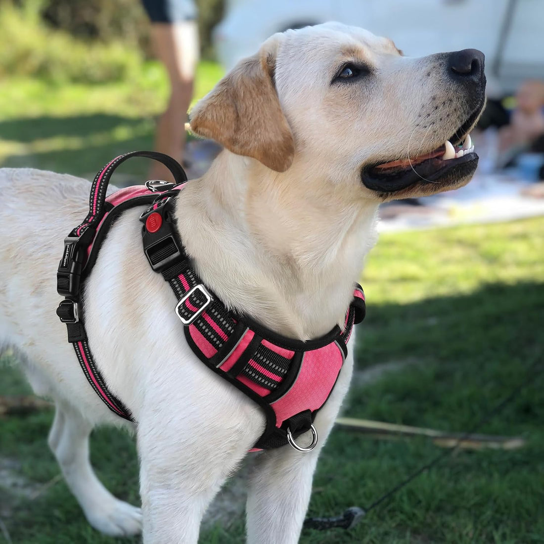 rabbitgoo Dog Harness for Large Dogs, No Pull Pet Vest with 3 Buckles