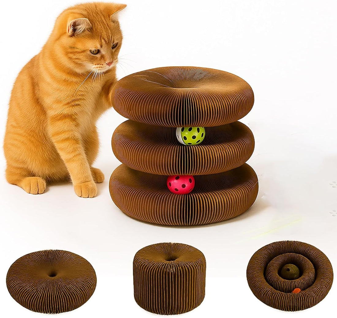 Interactive Cat Toy, Kitty Curls Cat Scratcher