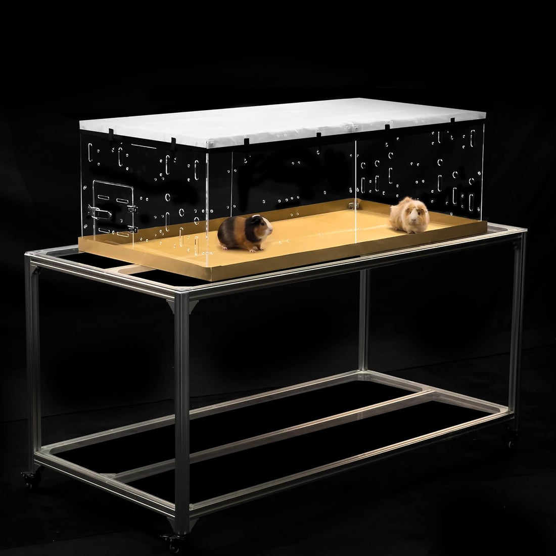 GuineaLoft™ Model-A Acrylic Guinea Pig Cage