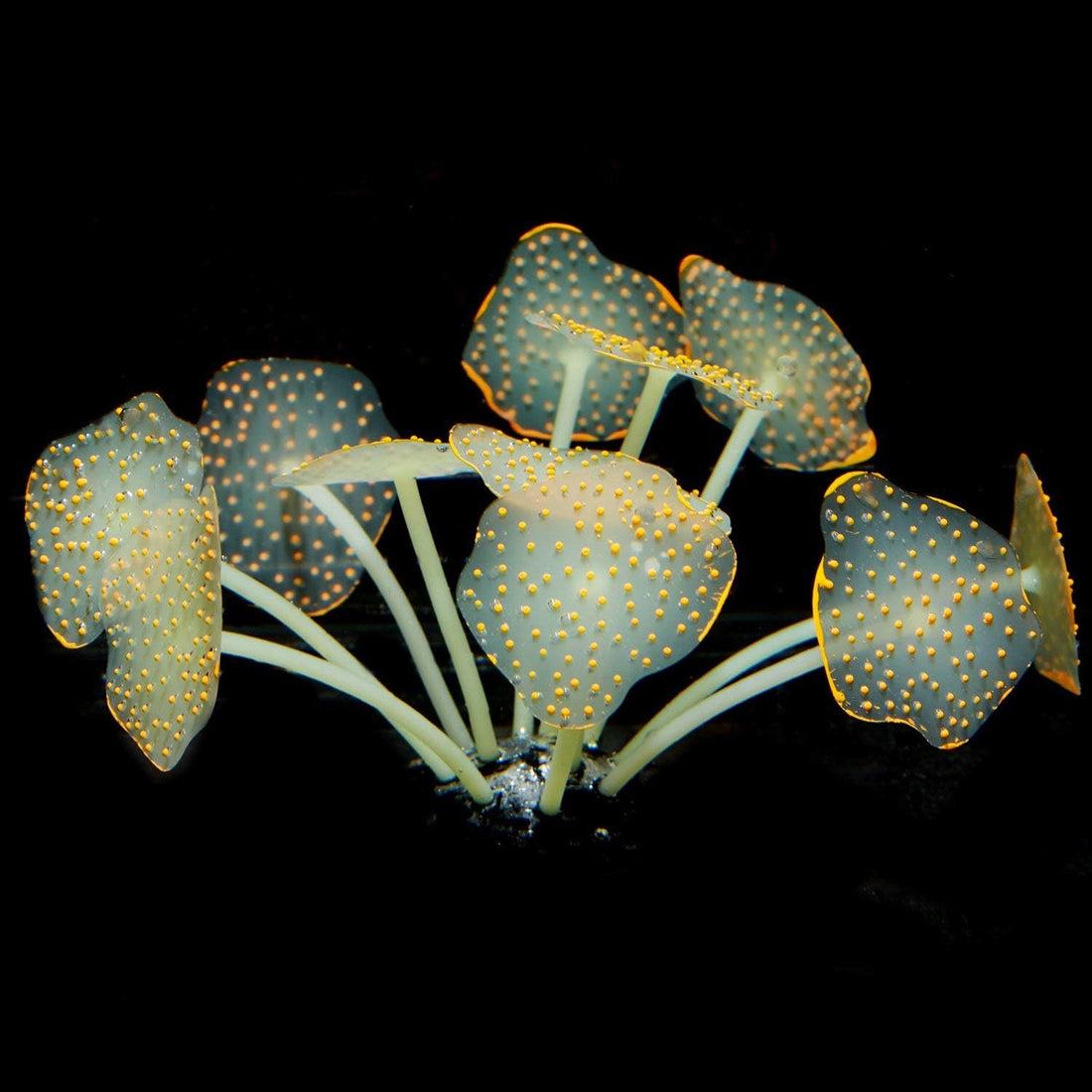 Uniclife Silicone Coral Plant Decorations Glowing Artificial Ornament