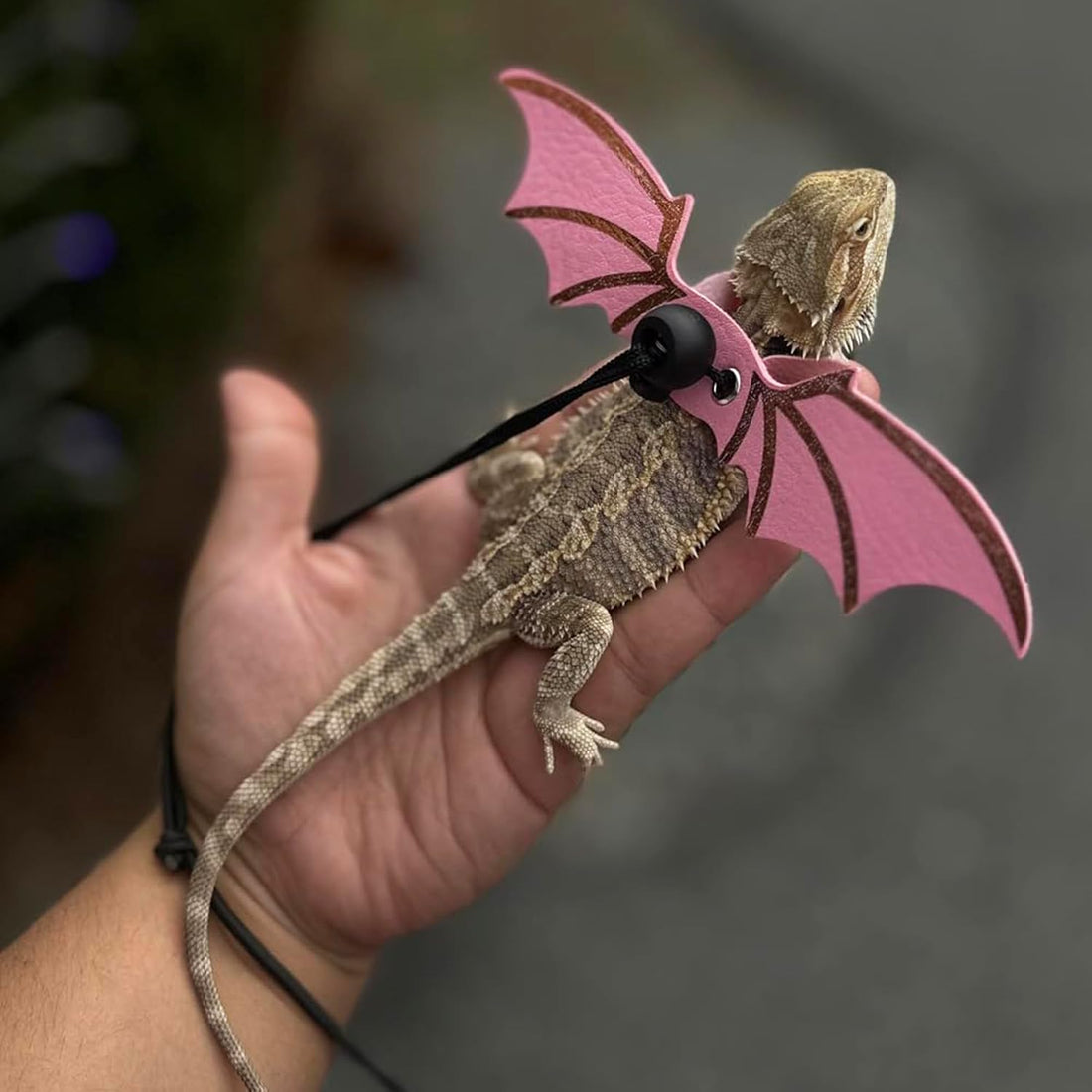 ADOGGYGO Pink Bearded Dragon Leash Harness, 3 Size Pack, Cool Bat Wing