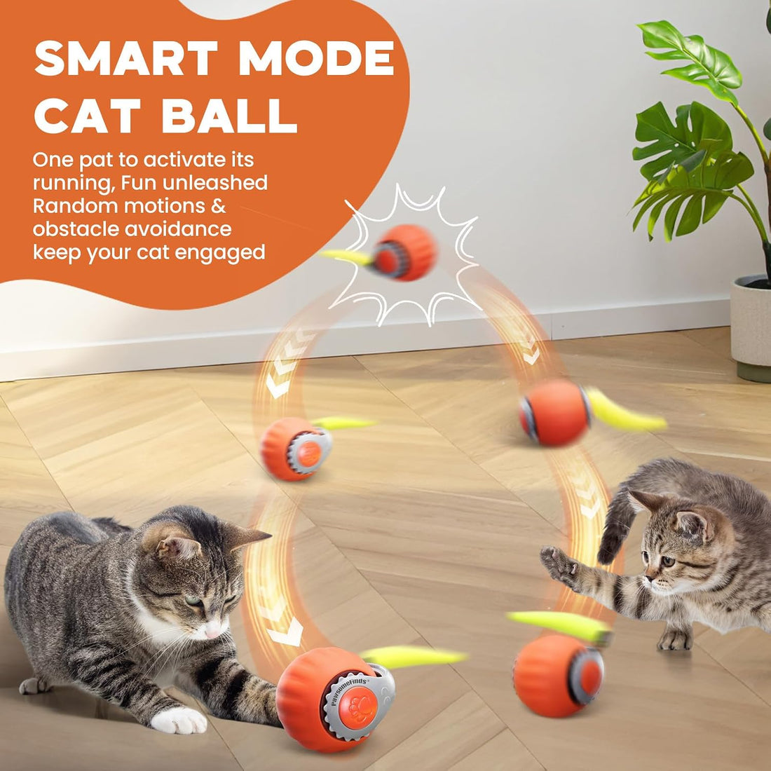 Interactive Cat Toy, 2-Speed Auto Ball, USB-C Rechargeable
