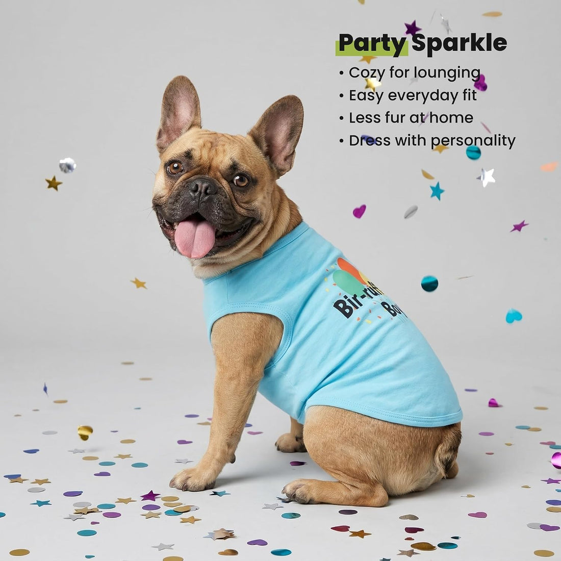 Fitwarm Birthday Boy Dog Shirt